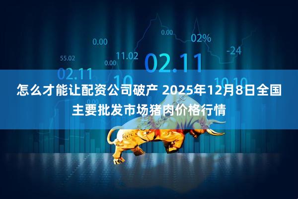 怎么才能让配资公司破产 2025年12月8日全国主要批发市场猪肉价格行情