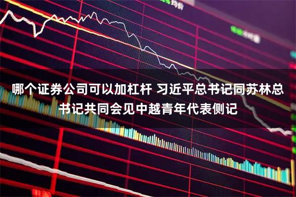 哪个证券公司可以加杠杆 习近平总书记同苏林总书记共同会见中越青年代表侧记