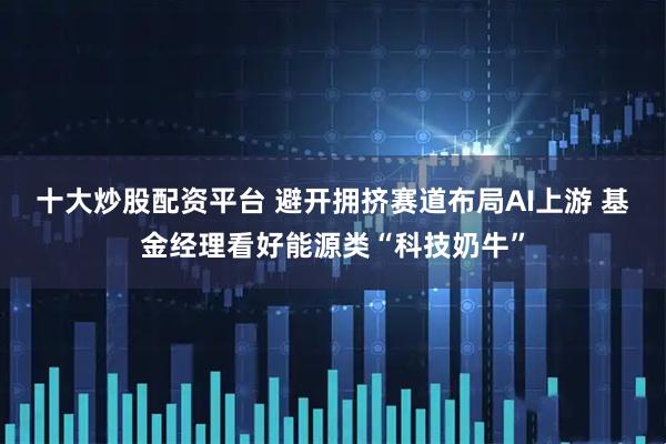 十大炒股配资平台 避开拥挤赛道布局AI上游 基金经理看好能源类“科技奶牛”