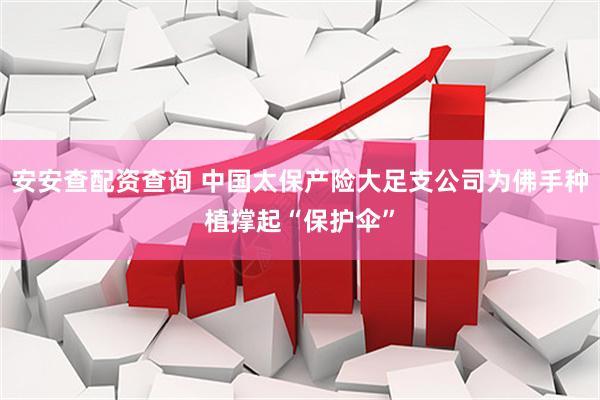 安安查配资查询 中国太保产险大足支公司为佛手种植撑起“保护伞”